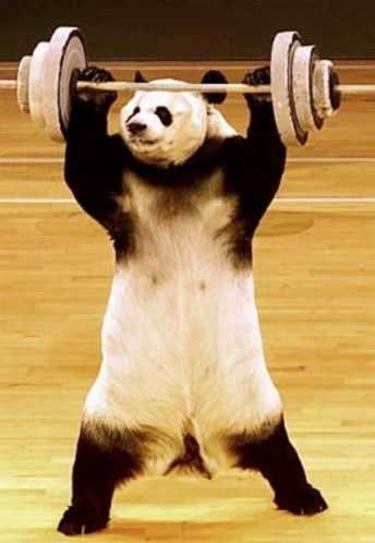 Михаил Резников