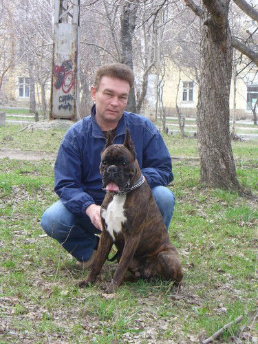 Андрей Дементьев