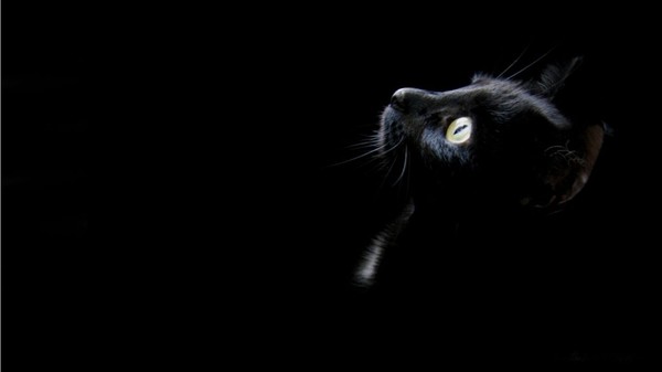 Наталья Егорова