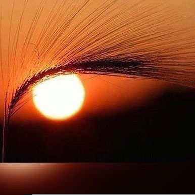 Арман Биркенов