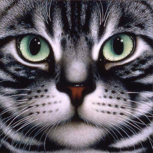 Ильмар Халитов