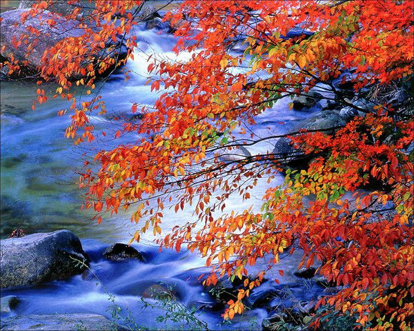 Евгений Крейлих