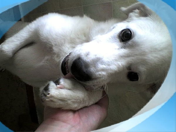 Татьяна Ермолина