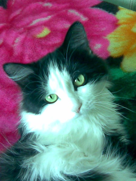 Татьяна Протопопова