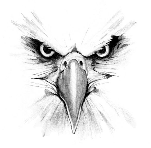 Ghost Eagle