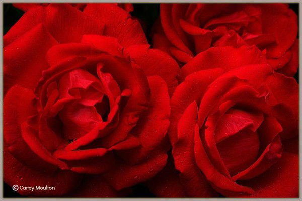 Natalia Serrano Pons