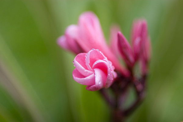 Людмила Абышкина