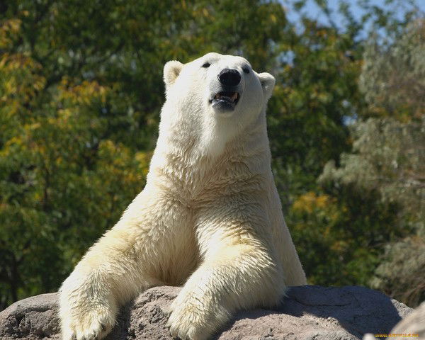 Семен Косецкий