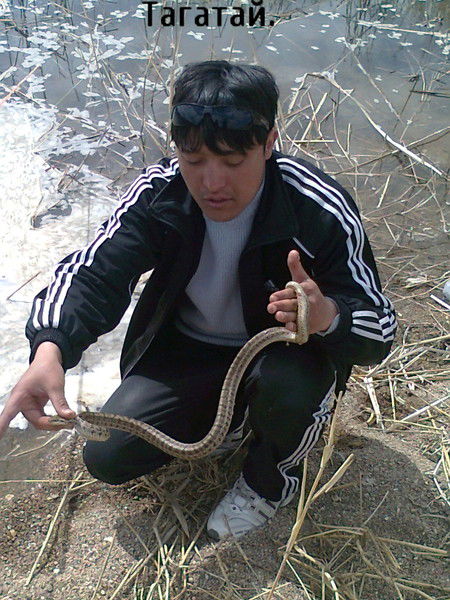 Талгат Каратауов