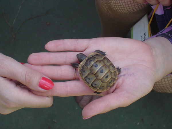 Анастасия Дудник