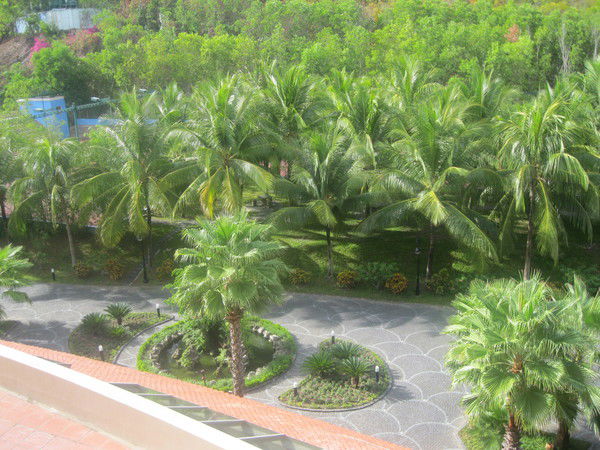 Елена Воронина