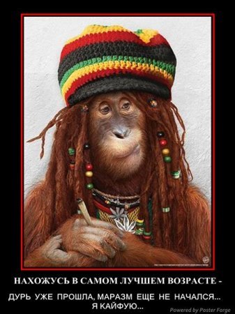 Марина Морская