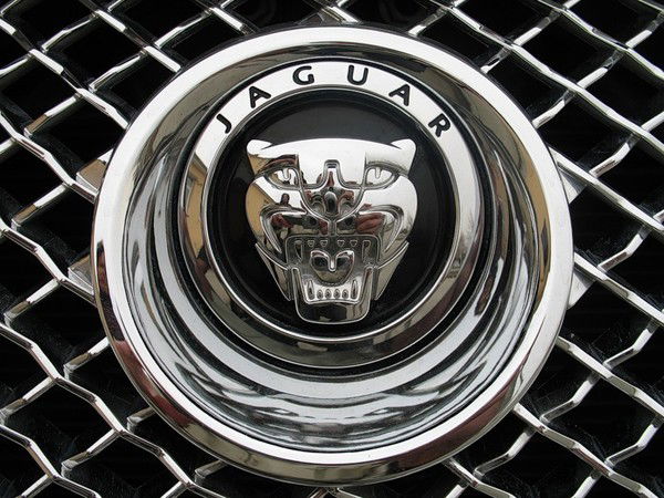 Андрей Федоров