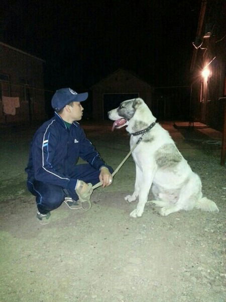 Нуржан Нурланов Адыевич