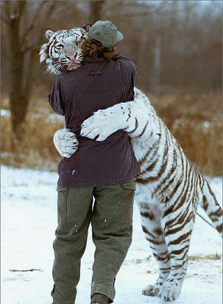 Шахобиддин Мурадов