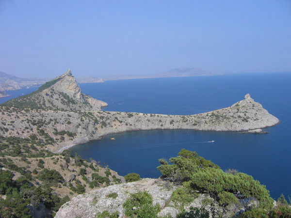 Анна Cеменович