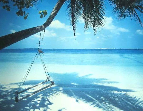 Баунти Турс