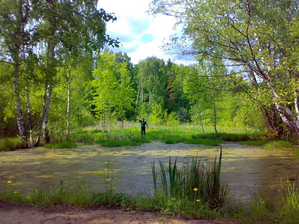 Андрей Орлов