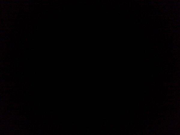 Мария Колесникова