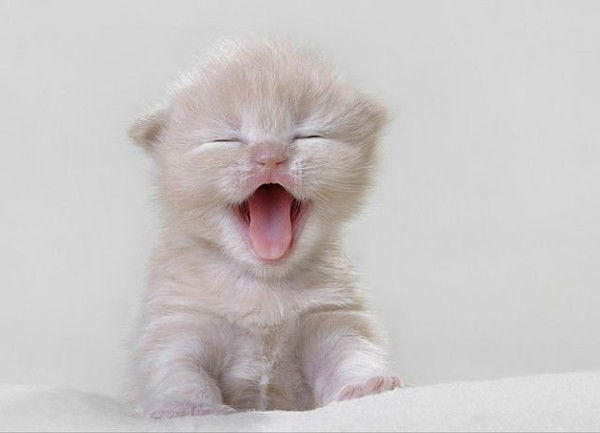 Михаил Селин