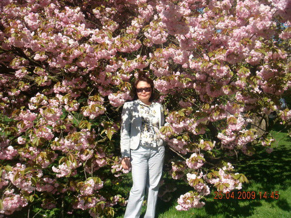 Гульдана Мади