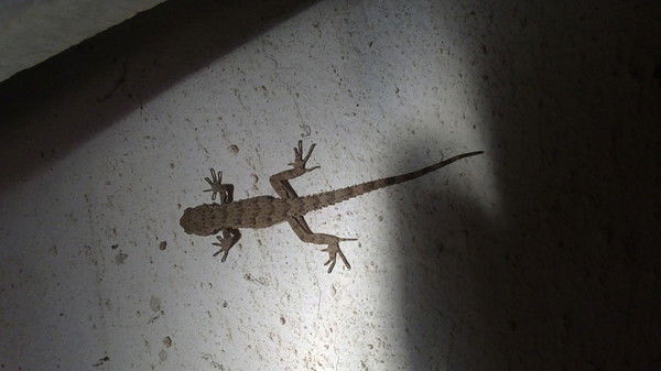 Татьяна Покатаева