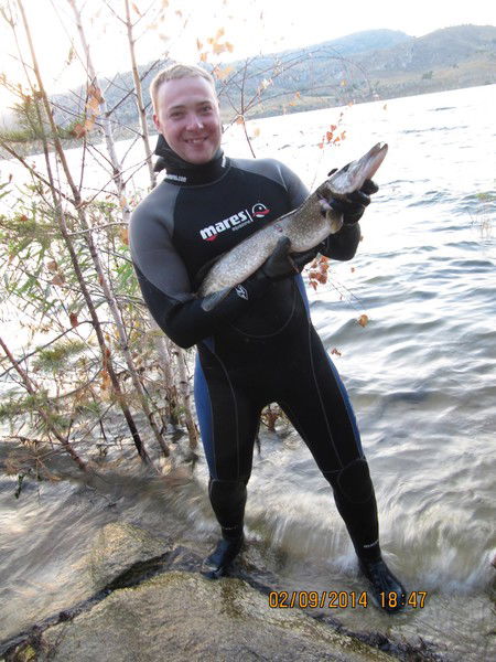 Вовчик Фролов