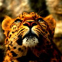 Александр Исаев