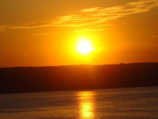 Наталья Колосова