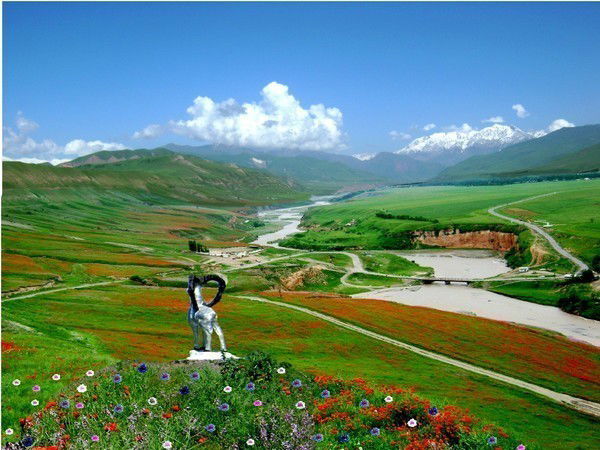 Мидинов Зайит