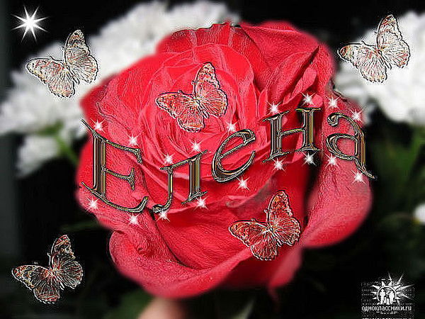 *** Солнышко ***