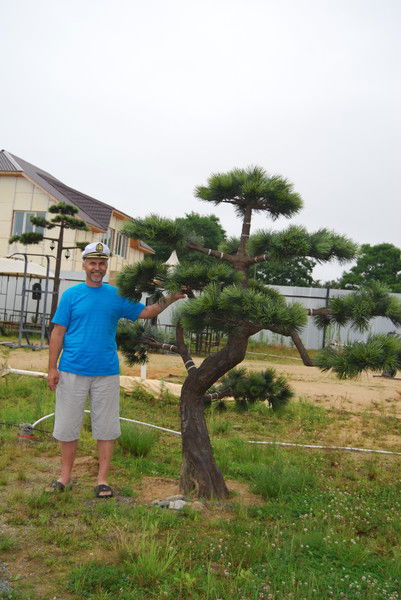 Александр Зайнулин