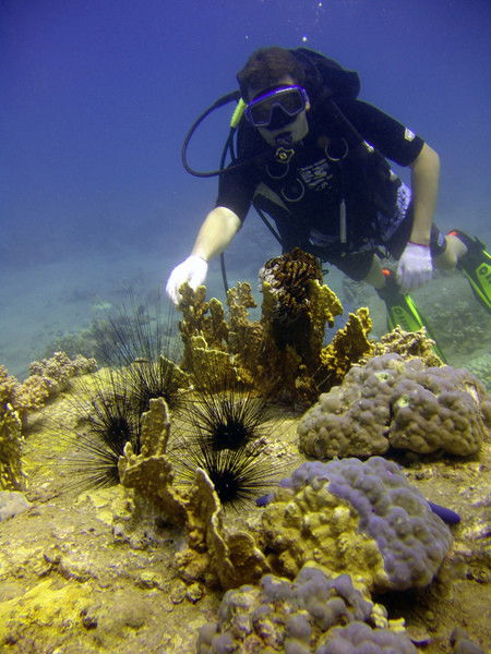 Александр М