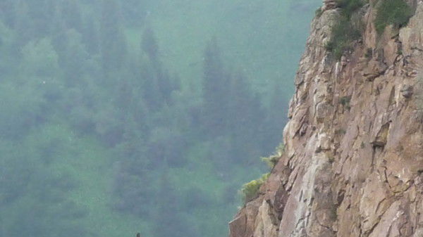 Руслан Алиев