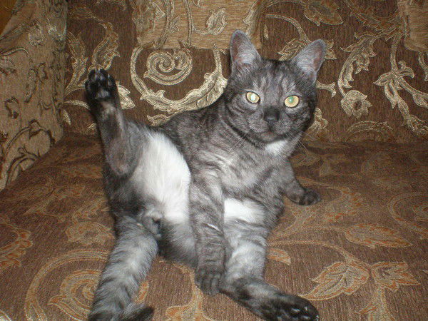 Ангел Счастья