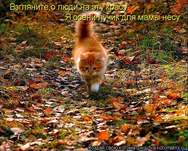 Сергей Телков