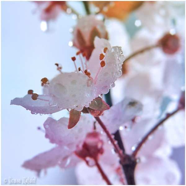 Алия Омурзакова