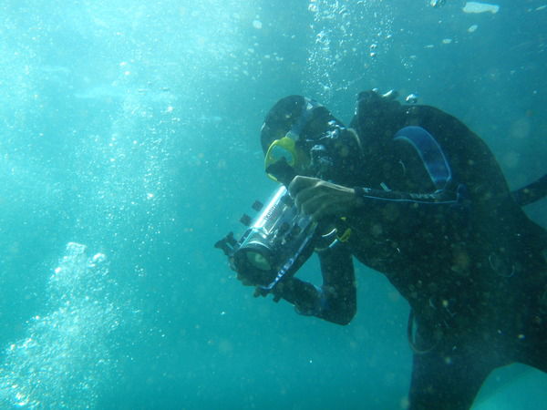 Ольга Демерт