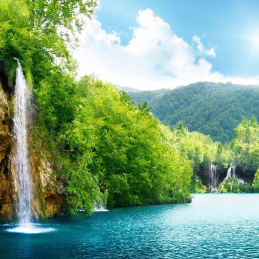 Света Мельник