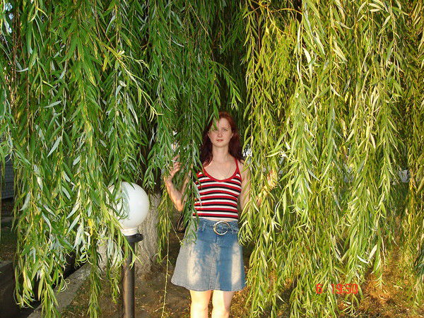 Люда Князева