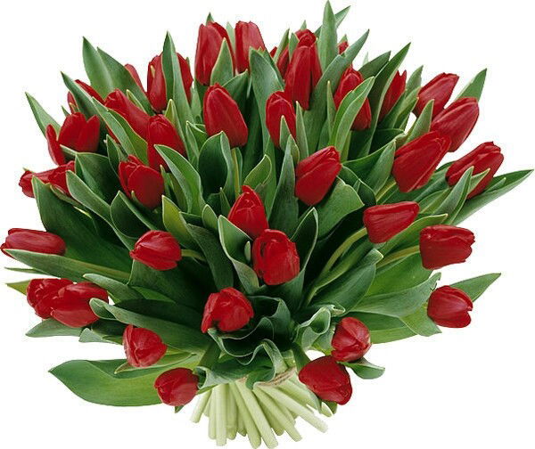 Кристина Солопова