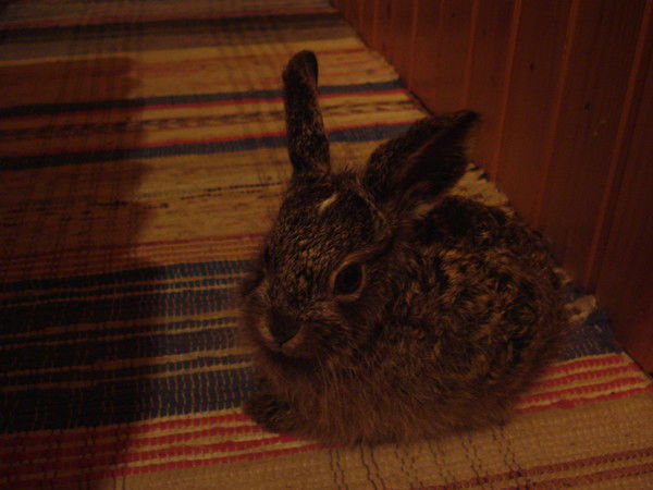 Сергей Бонокин