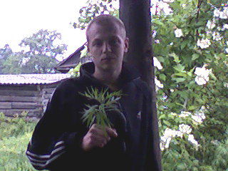 Александр Анорьев