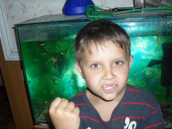 Володя Теплов