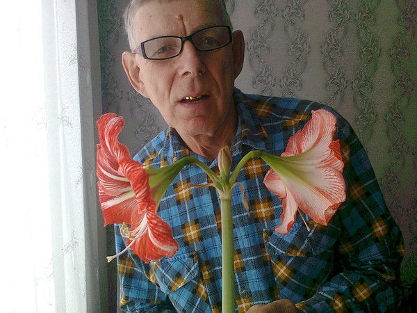 Владимир Двадцатник