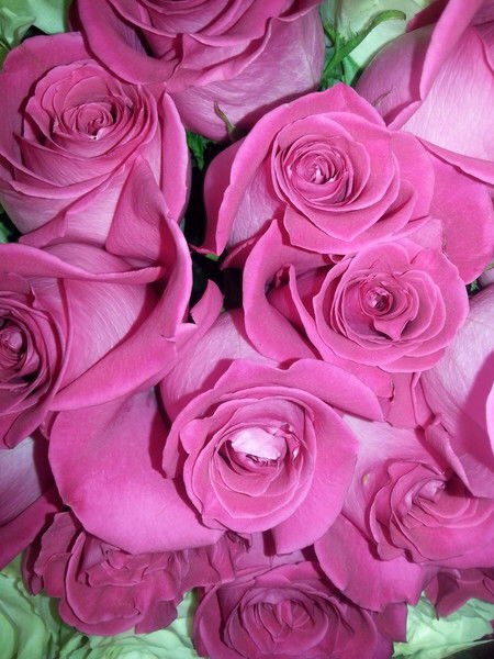 Айнур Сембина