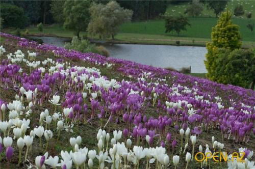 ^^^^^евгения^^^^ ^^^^никитина^^^^