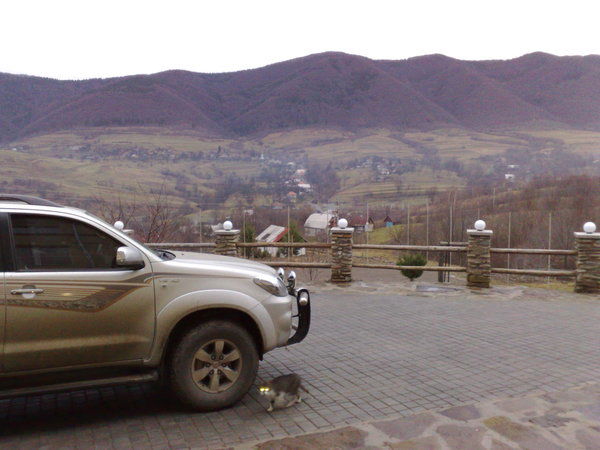 Андрей Остапюк