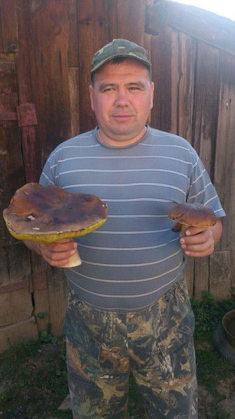 Алексей Ефимов