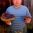 Алексей Ефимов